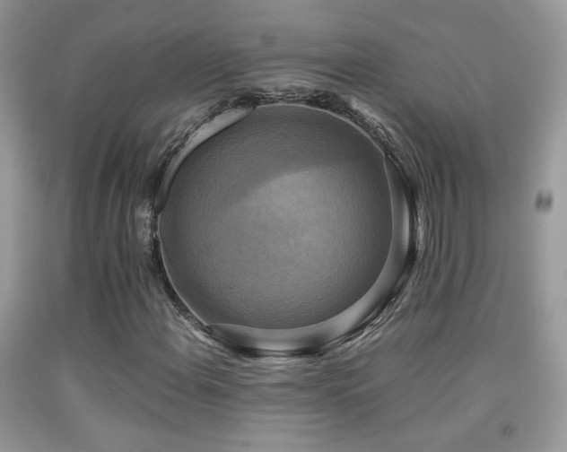 X0000091921108200709051434