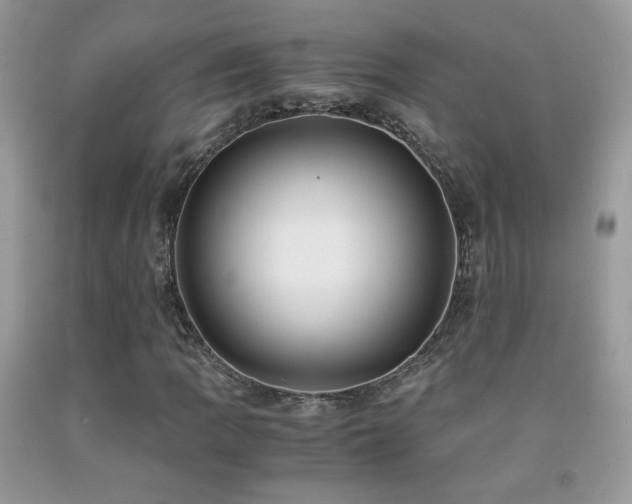 X0000091921109200709051434