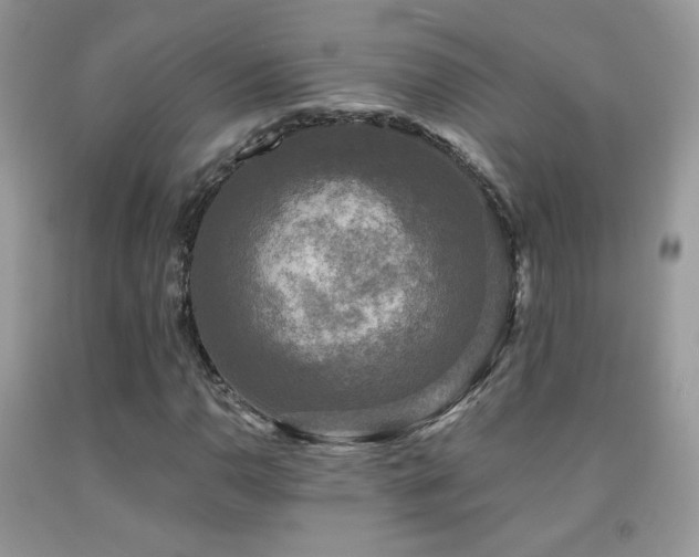 X0000091921110200709051434