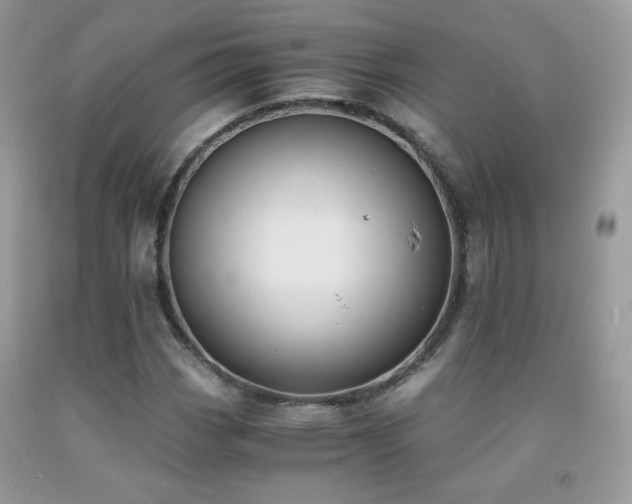 X0000091921113200709051434