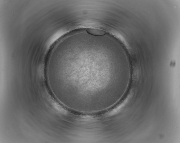 X0000091921114200709051434