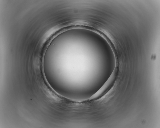 X0000091921115200709051434