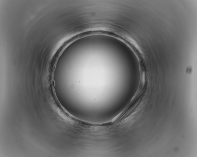 X0000091921116200709051434
