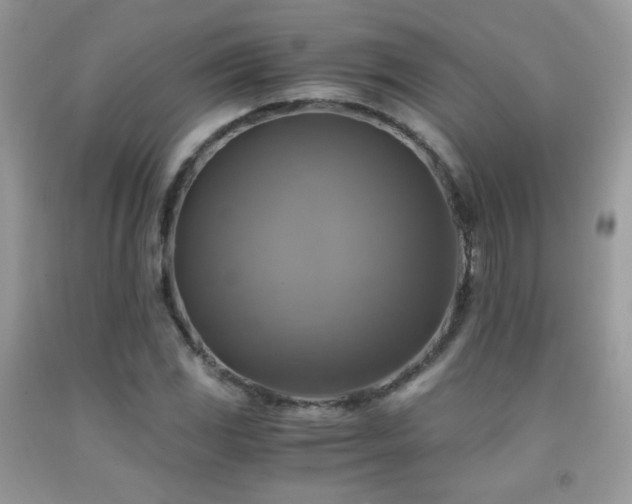 X0000091921117200709051434