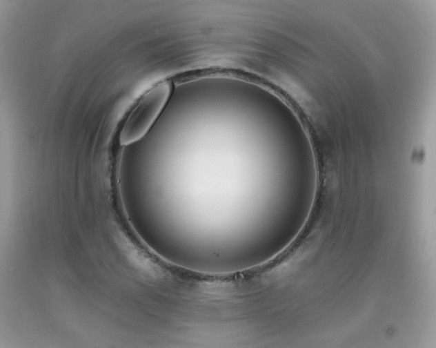 X0000091921118200709051434