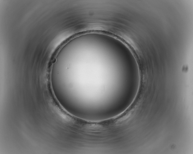X0000091921119200709051434