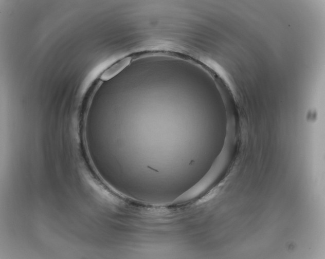 X0000091921120200709051434