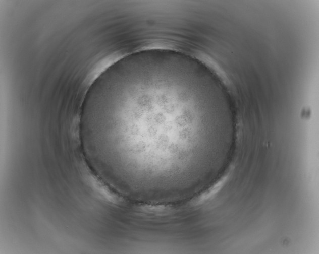 X0000091921121200709051434