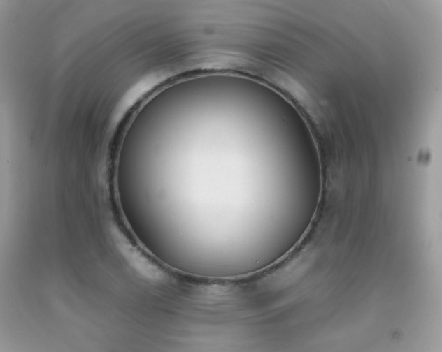 X0000091921122200709051434