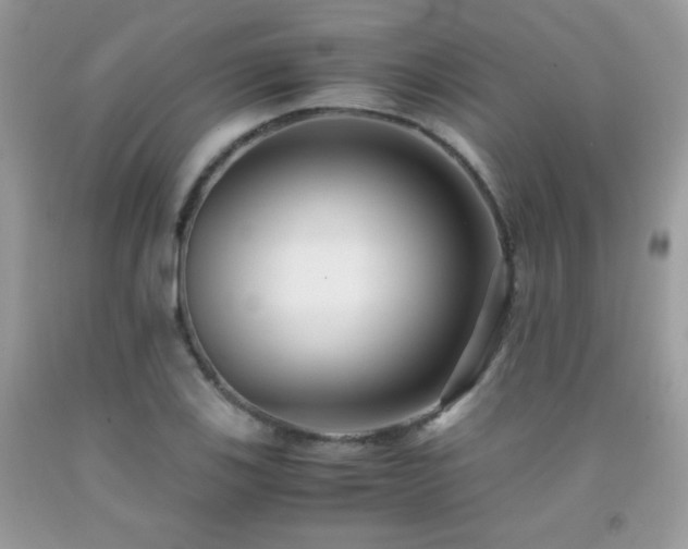 X0000091921123200709051434
