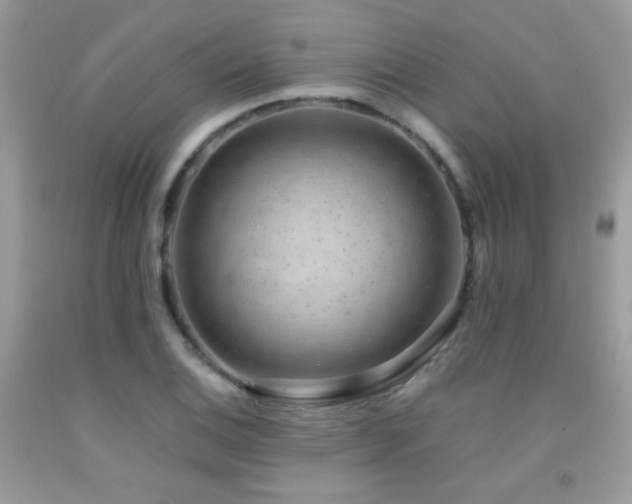 X0000091921124200709051434