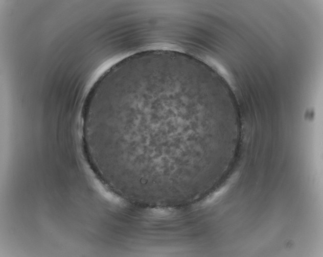 X0000091921125200709051434