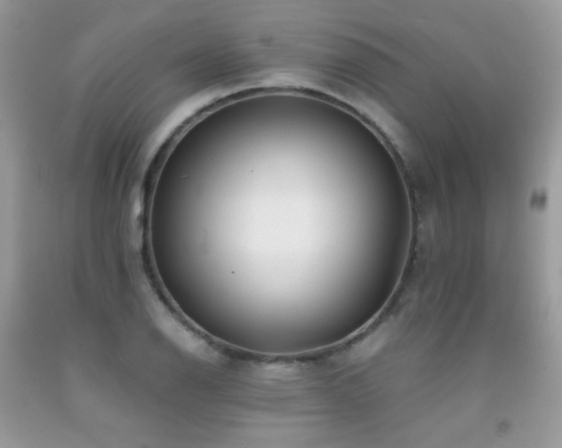 X0000091921126200709051434