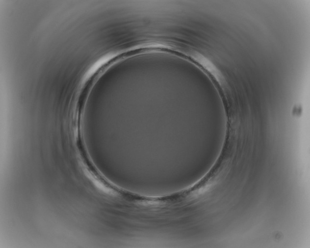 X0000091921127200709051434