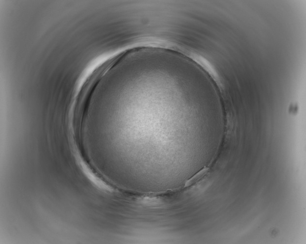 X0000091921128200709051434