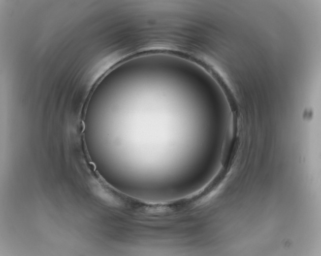 X0000091921129200709051434