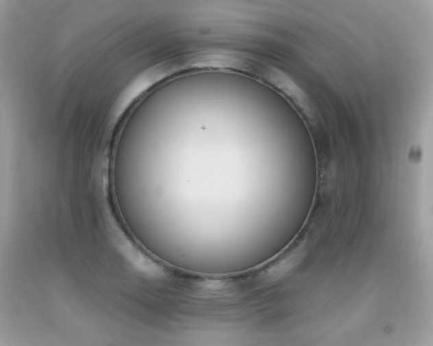 X0000091921130200709051434