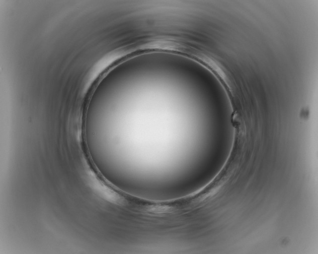 X0000091921131200709051434