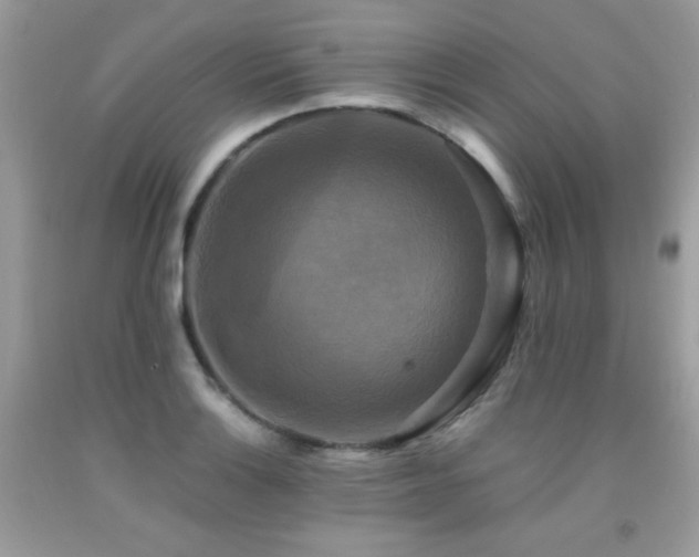 X0000091921132200709051434