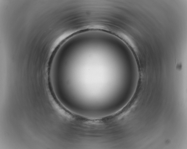 X0000091921133200709051434