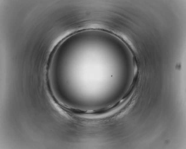 X0000091921134200709051434