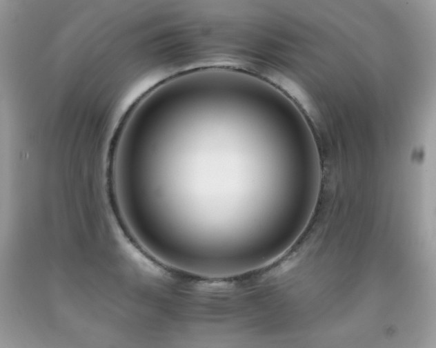 X0000091921135200709051434