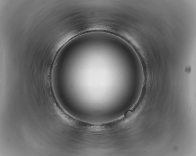 X0000091921137200709051434