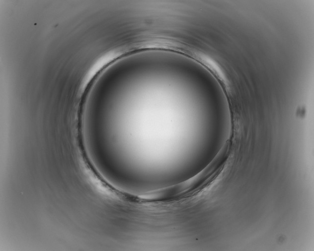 X0000091921138200709051434