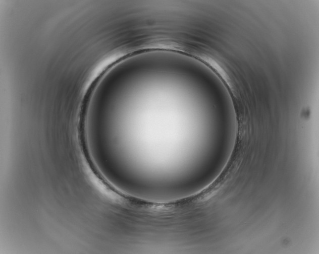 X0000091921139200709051434