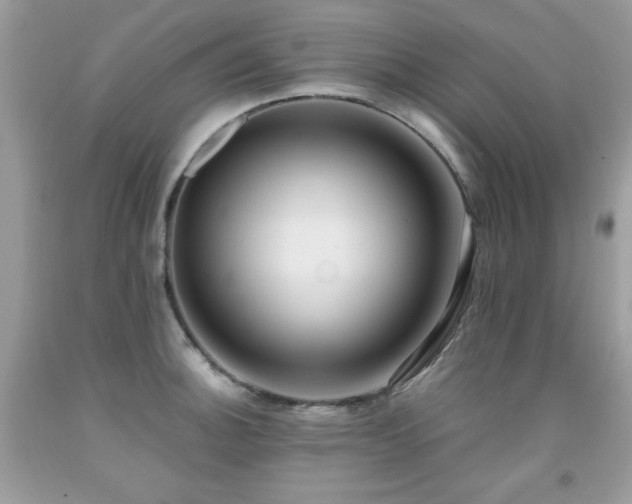 X0000091921140200709051434