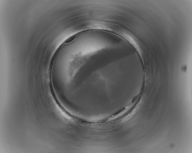 X0000091921141200709051434