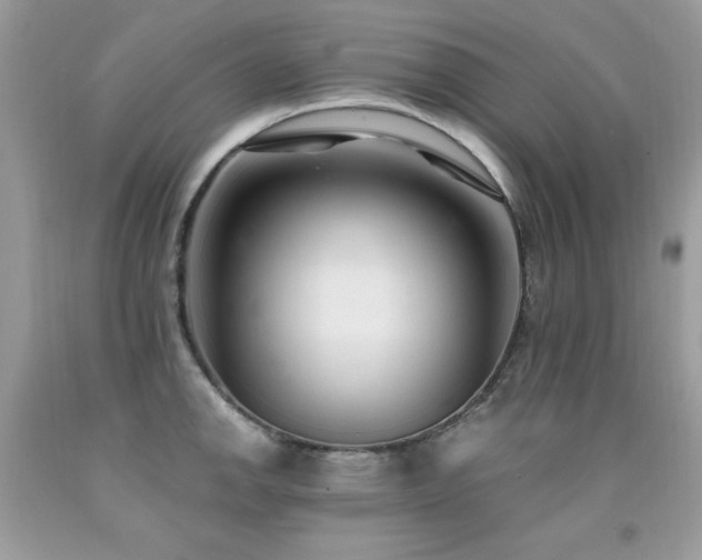 X0000091921142200709051434