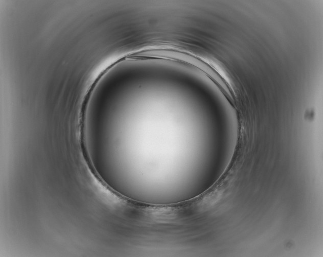 X0000091921143200709051435