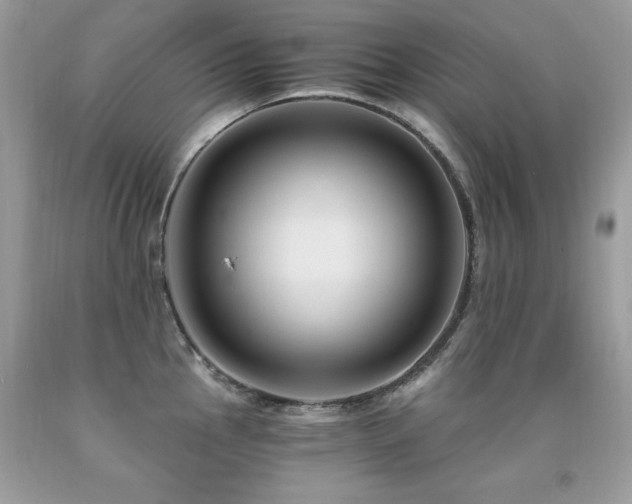 X0000091921145200709051435