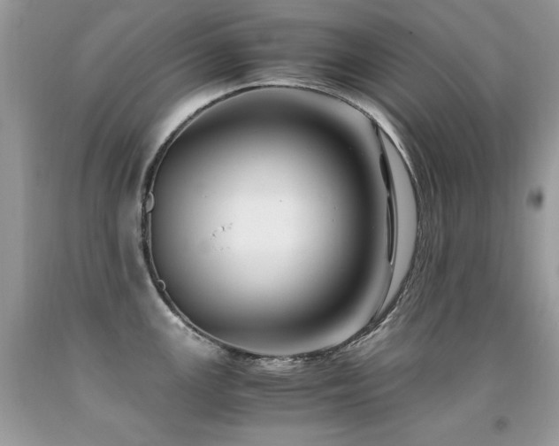 X0000091921147200709051435