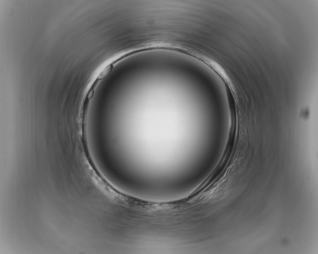 X0000091921148200709051435