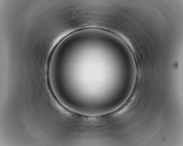 X0000091921149200709051435