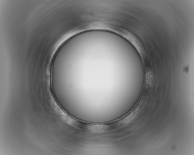 X0000091921150200709051435