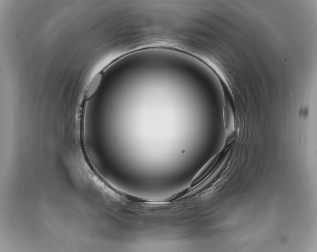 X0000091921151200709051435