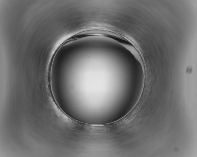 X0000091921152200709051435