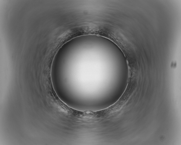 X0000091921153200709051434