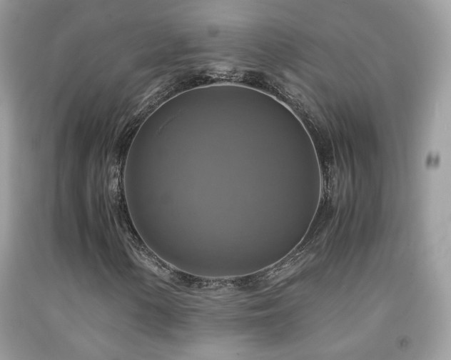 X0000091921154200709051434