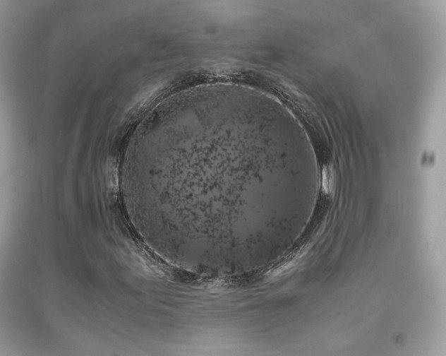 X0000091921155200709051434