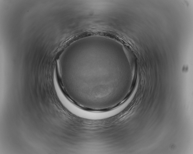 X0000091921156200709051434