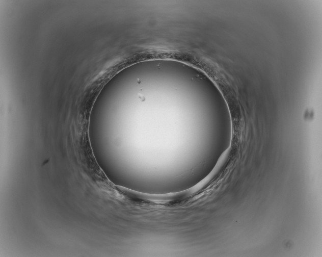 X0000091921157200709051434