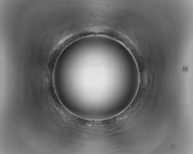 X0000091921158200709051434
