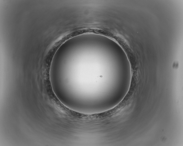 X0000091921159200709051434