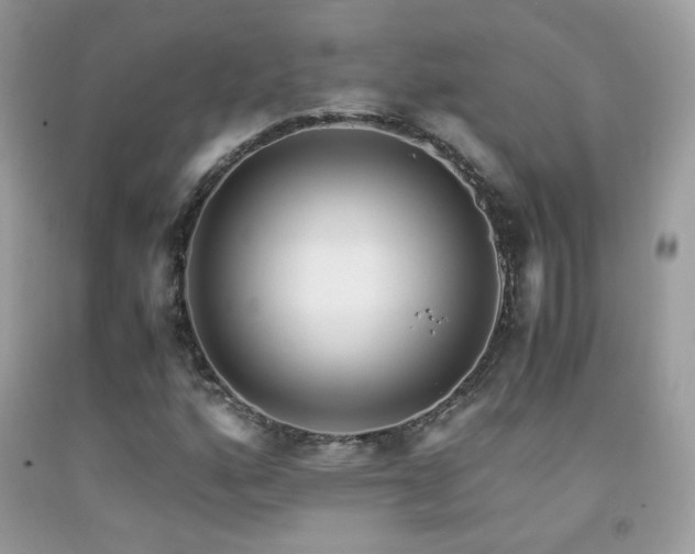X0000091921160200709051434