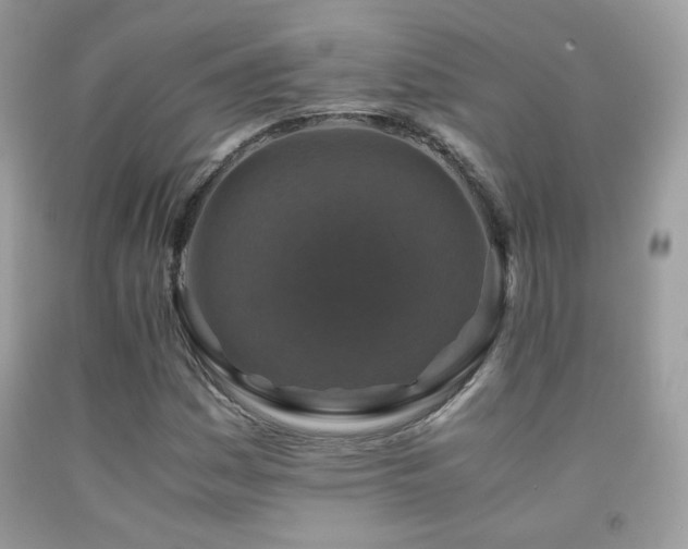 X0000091921161200709051434