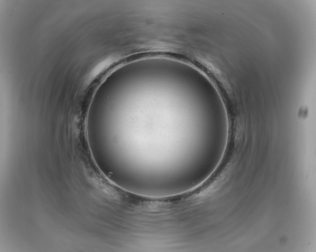 X0000091921163200709051434